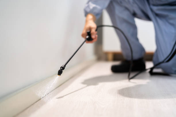 Licensed Rodent Control service in Riverside, CT - Nex Pest Control