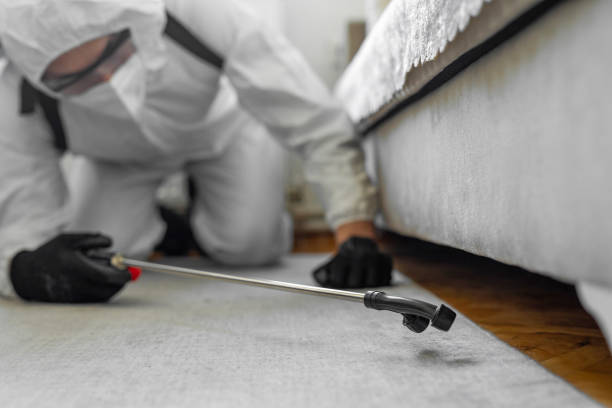 Professional Rodent Control technician working in Riverside, CT