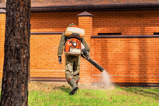 Trusted Cockroach Control service in Riverside, CT - Nex Pest Control
